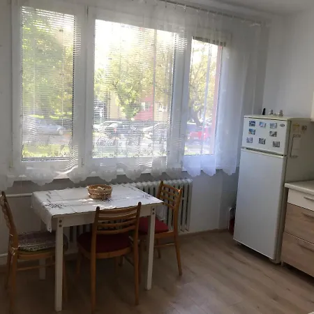 Sunny By The River * 道尼库宾